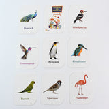 KidKraft Early Learner Educational Flashcards – 32 Birds