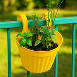 Multicolor Hanging Plastic Planters Orchid Relling , For Plantation, Planters for Balcony and Home Gardening, Indoor, Outdoor (1 Pc )